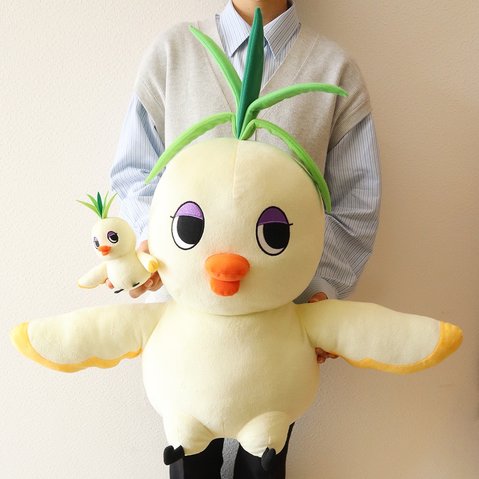 15cm60cm　手持ち