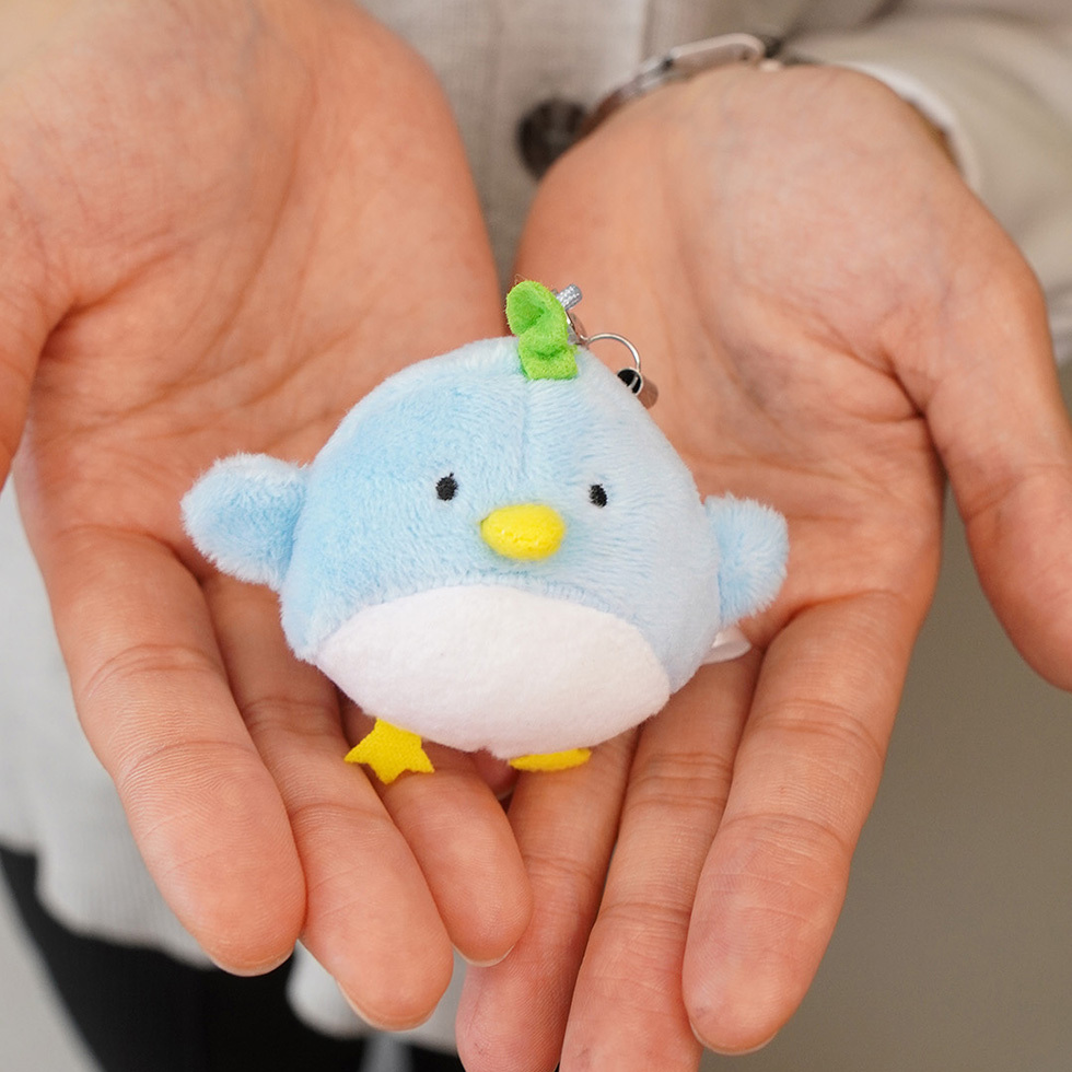 しゅんた 両手の上