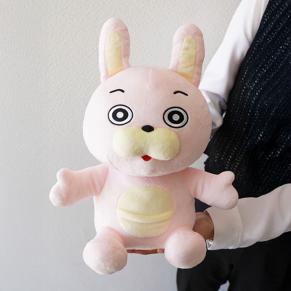 桃色ウサヒ 手持ち