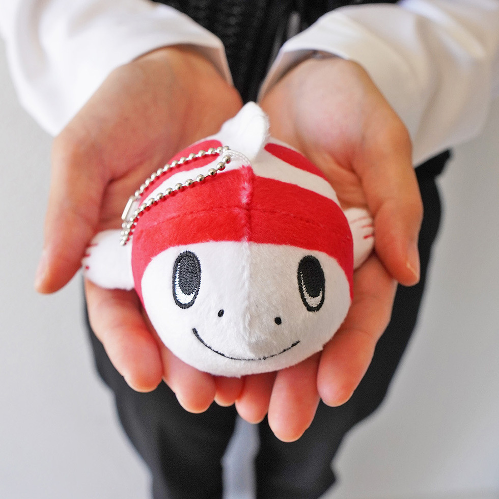 めたこいちゃん 両手の上