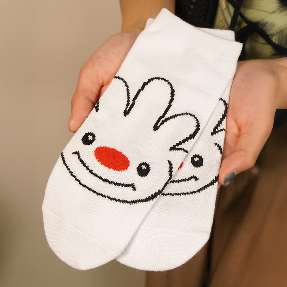 ていぬ　身体の前