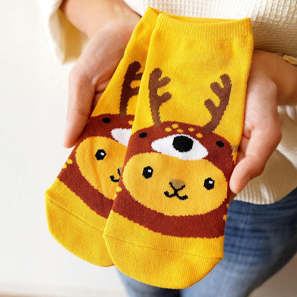 キュンちゃん　身体の前