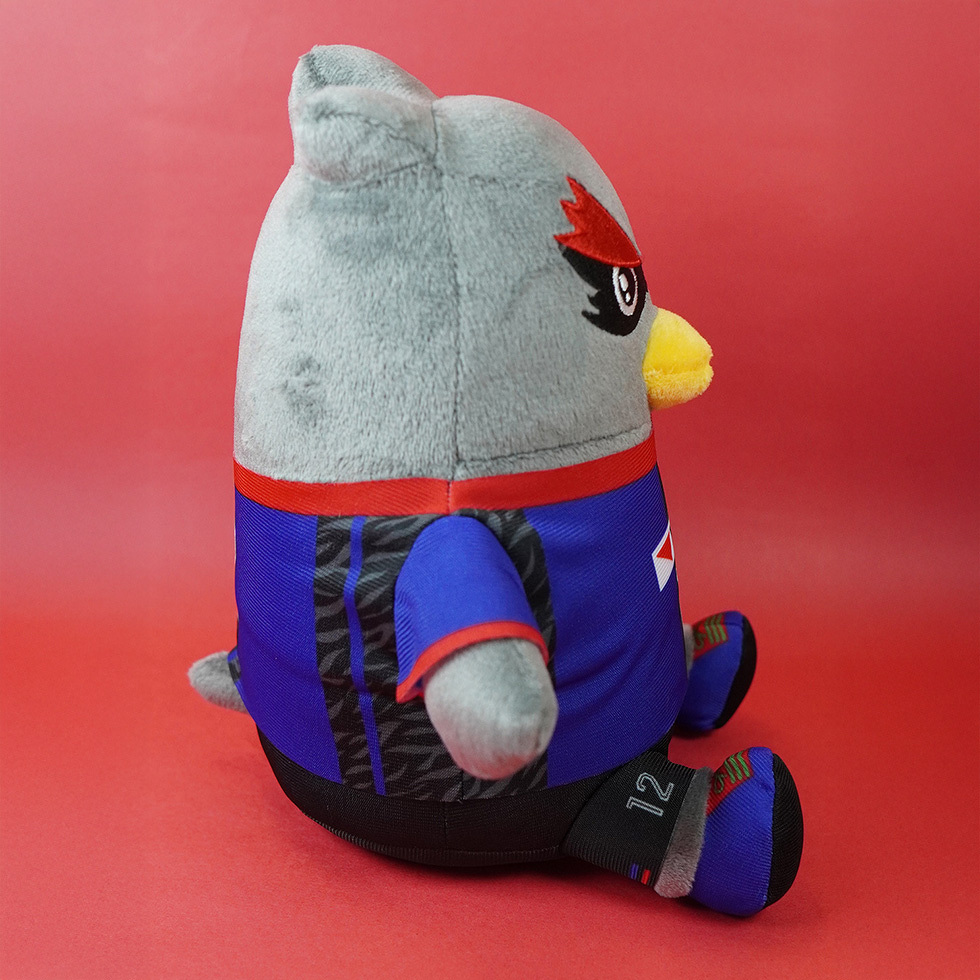 闘矢くん 20cm 右面