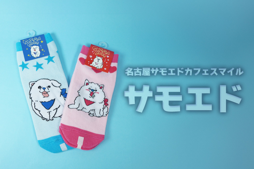 名古屋サモエドカフェ スマイル　サモエド