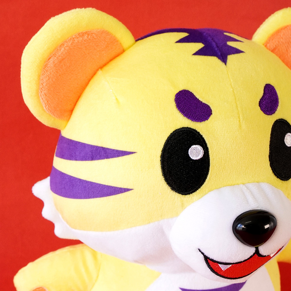 とらじろう 25cm　　顔アップ