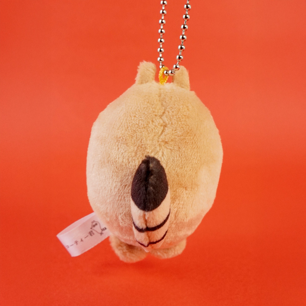 コーティーくん 背面