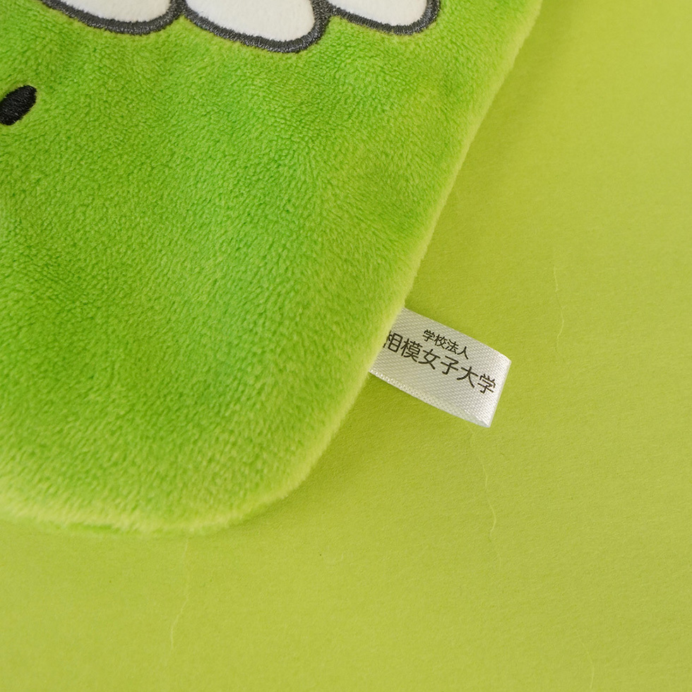 布タグ 学校法人相模女子大学