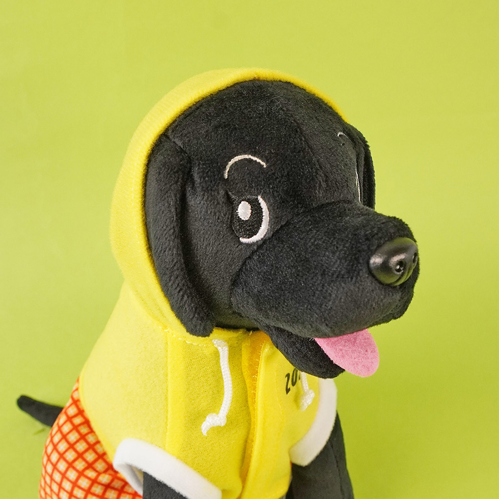 ウーちゃん フード