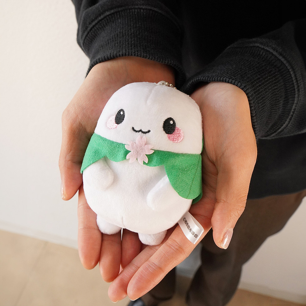 かしもっちぃ両手の上