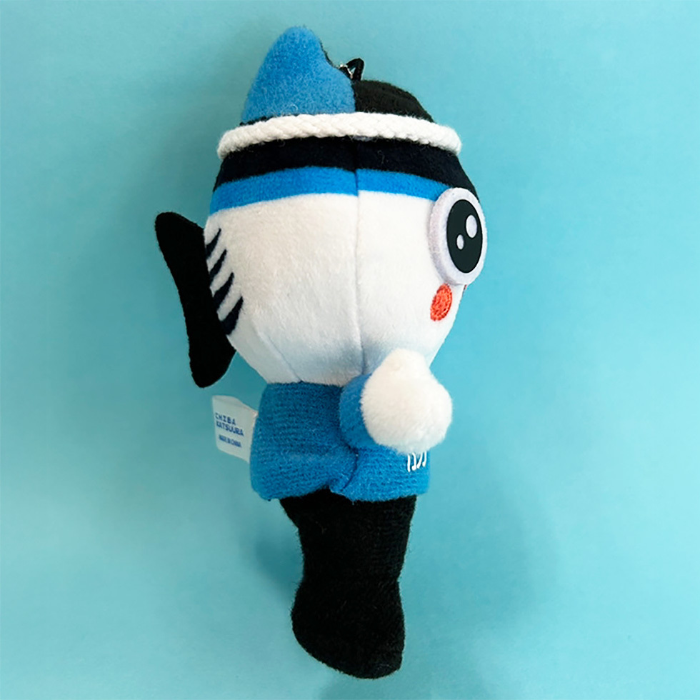 勝浦カッピー 右面