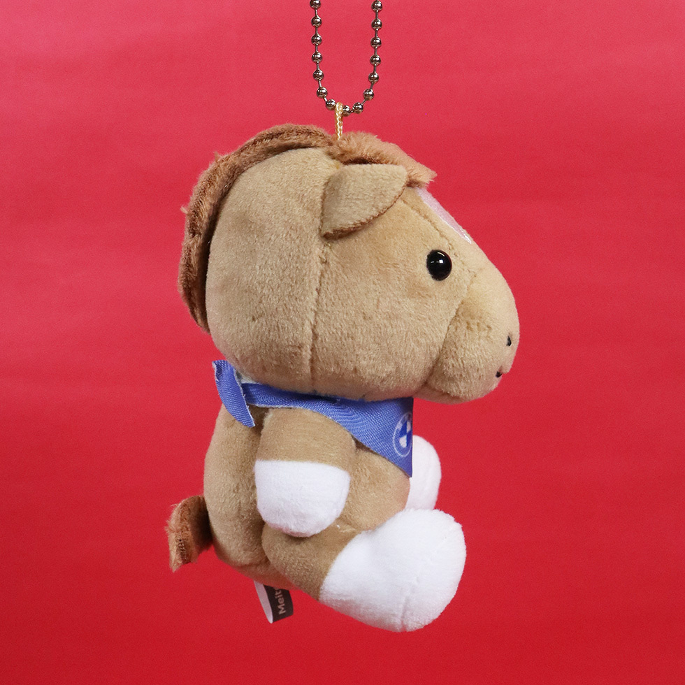 BMW午　8.5cm右面