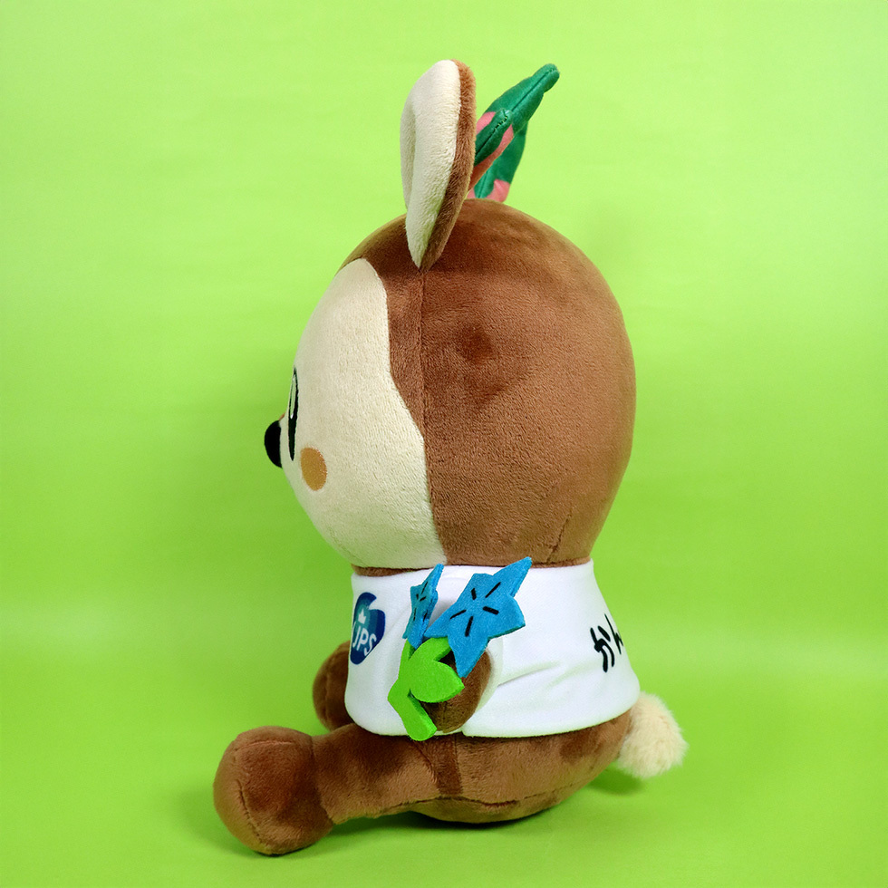 ジェイくん　左面