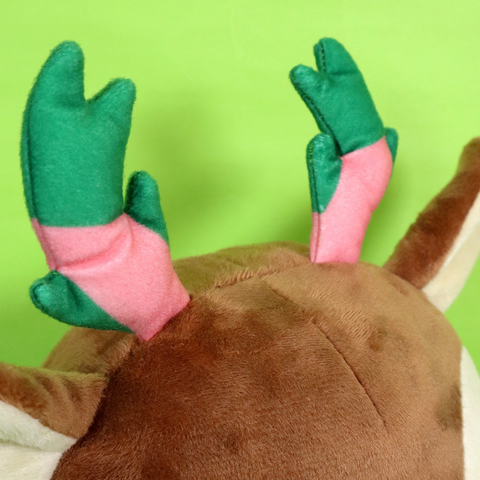 ジェイくん　頭アップ