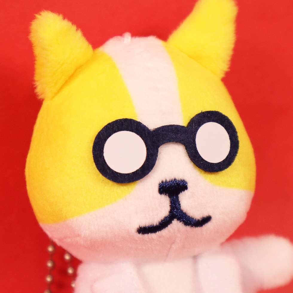 ネコ所長　顔アップ