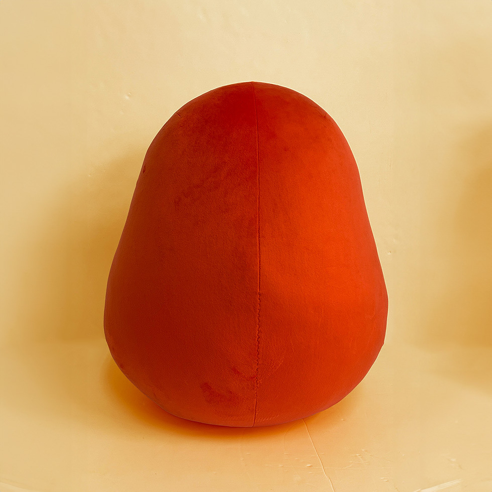 あがりん　背面