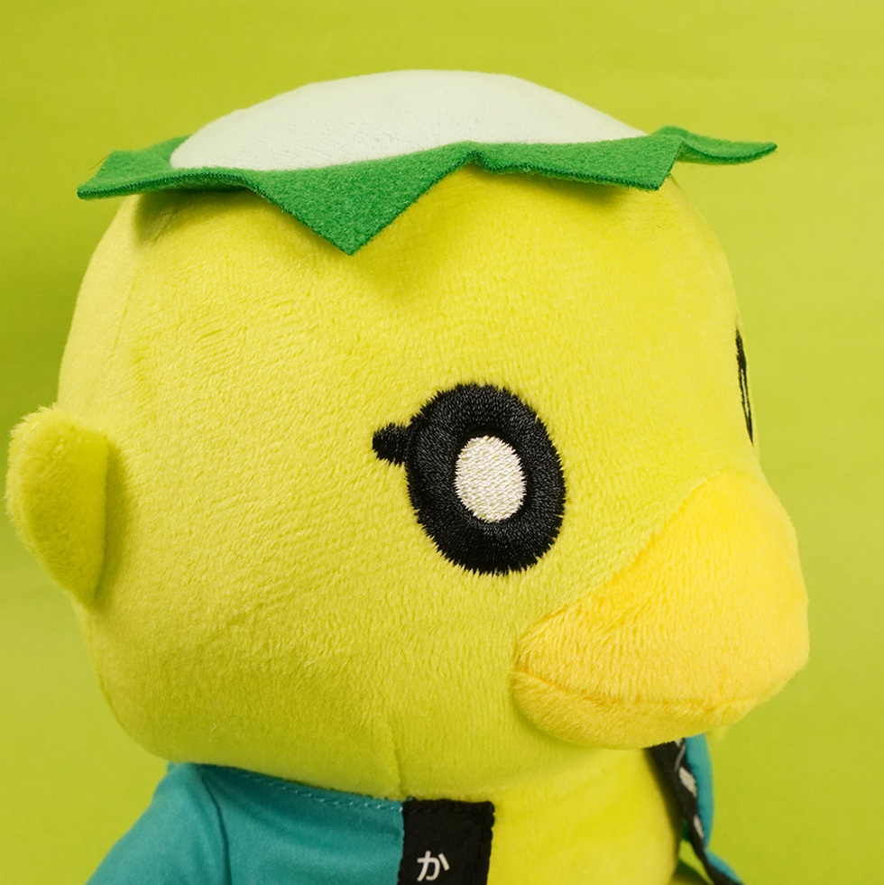 かっぱの河太郎 顔