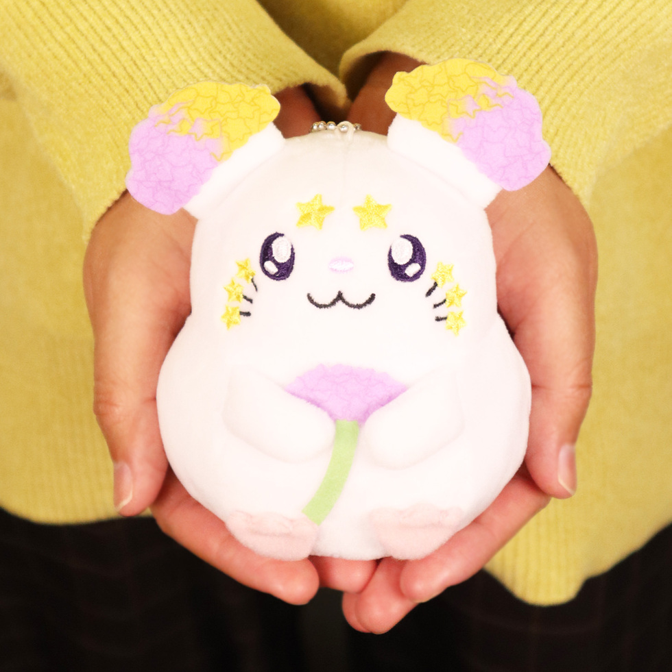 スターチュス　両手のひら