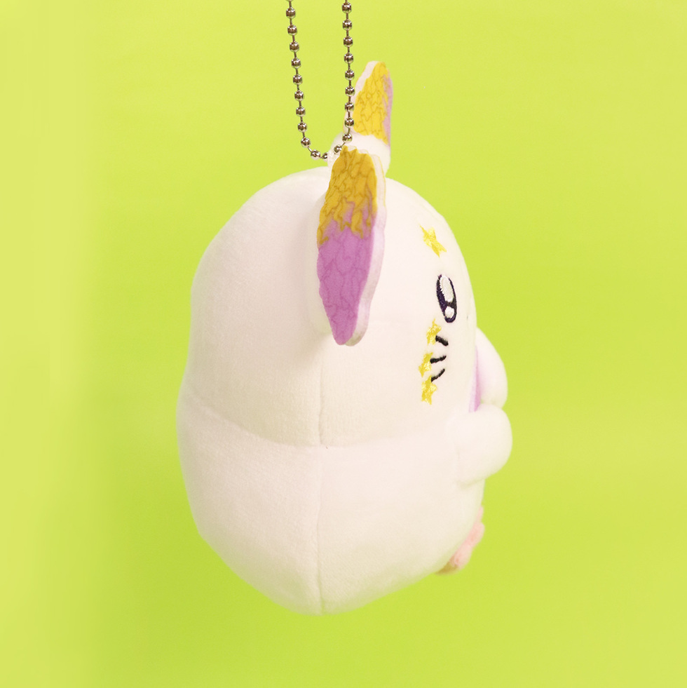 スターチュス　右面