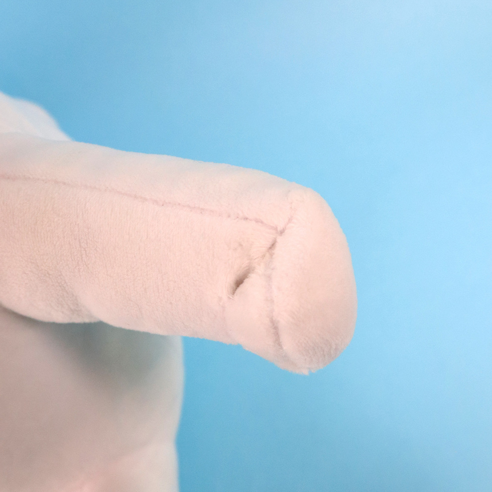 エールベア 30cmぬいぐるみ のぼり旗 手アップ