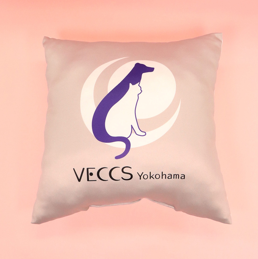 VECCS横浜 プリントクッション