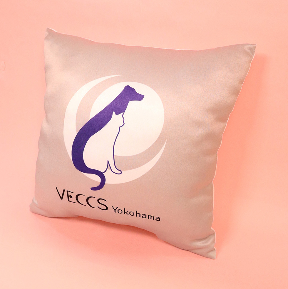 VECCS横浜 プリントクッション 正面斜め