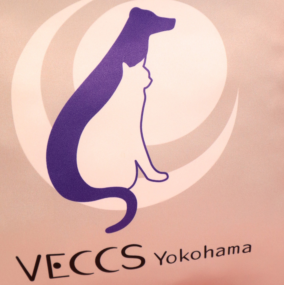VECCS横浜 プリントクッション ロゴアップ