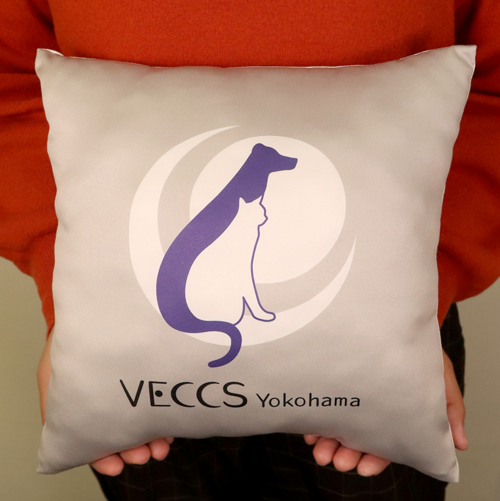 VECCS横浜 プリントクッション 身体の前