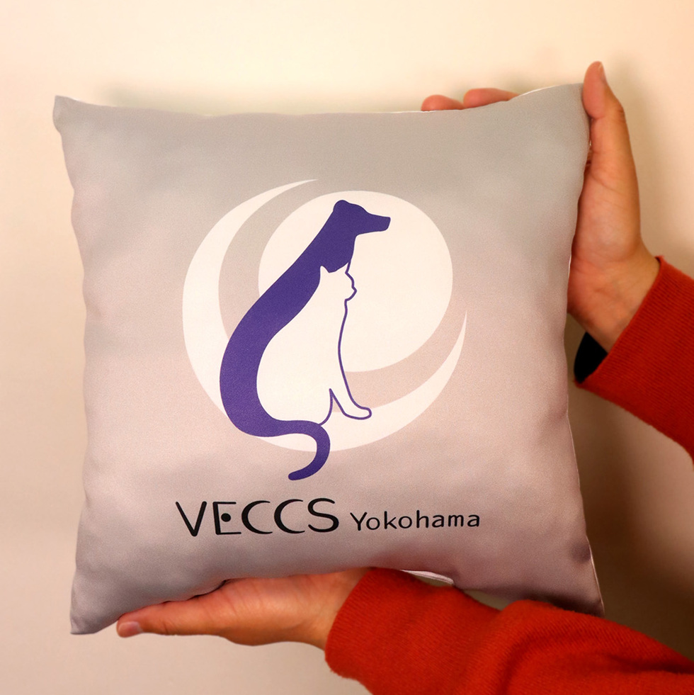 VECCS横浜 プリントクッション 手持ち