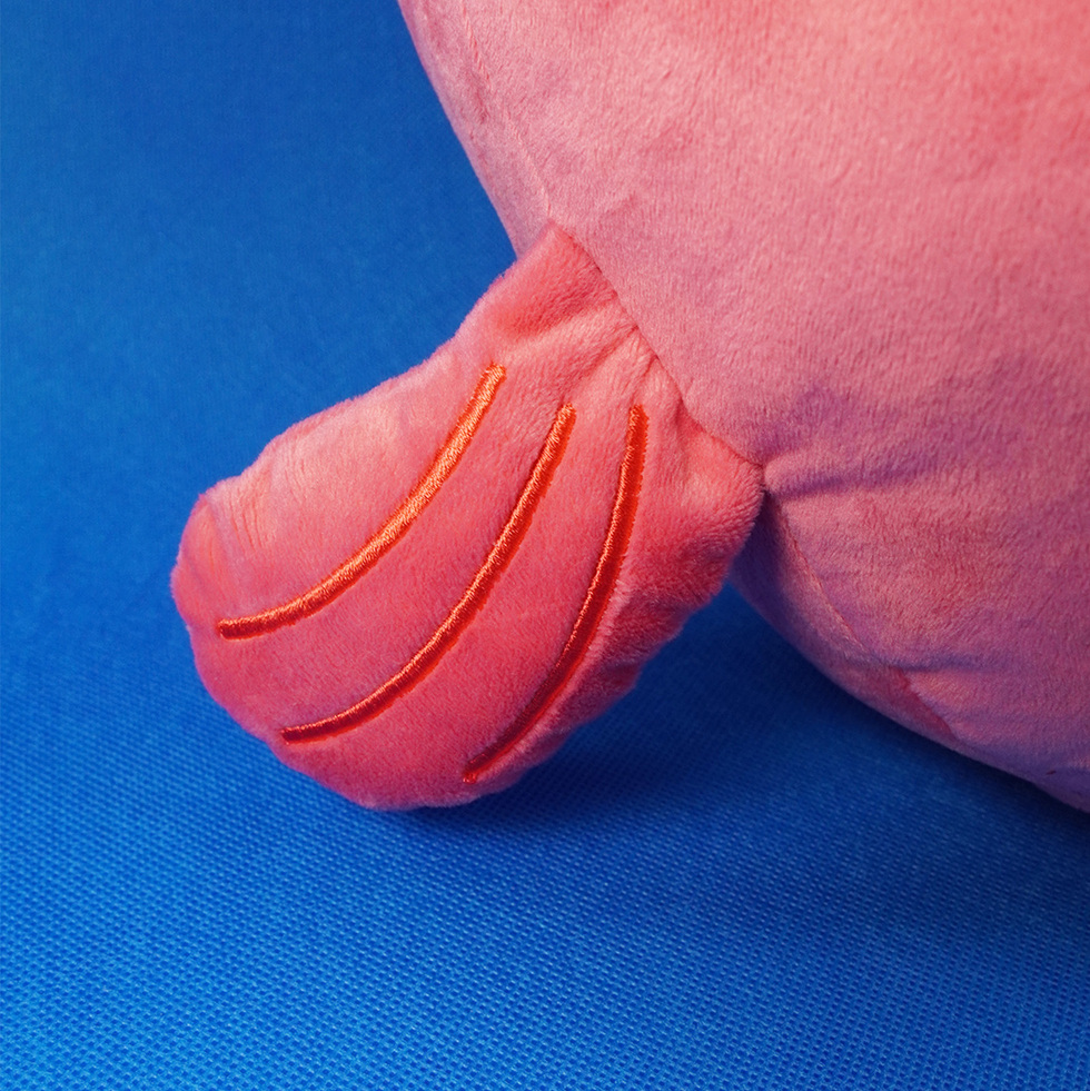 ととちゃん 60cmぬいぐるみ　ひれ右