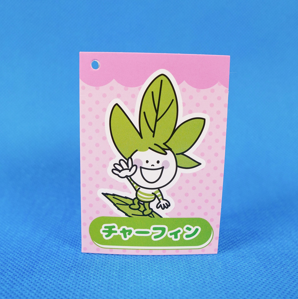 チャーフィン 20cmぬいぐるみ　台紙　表