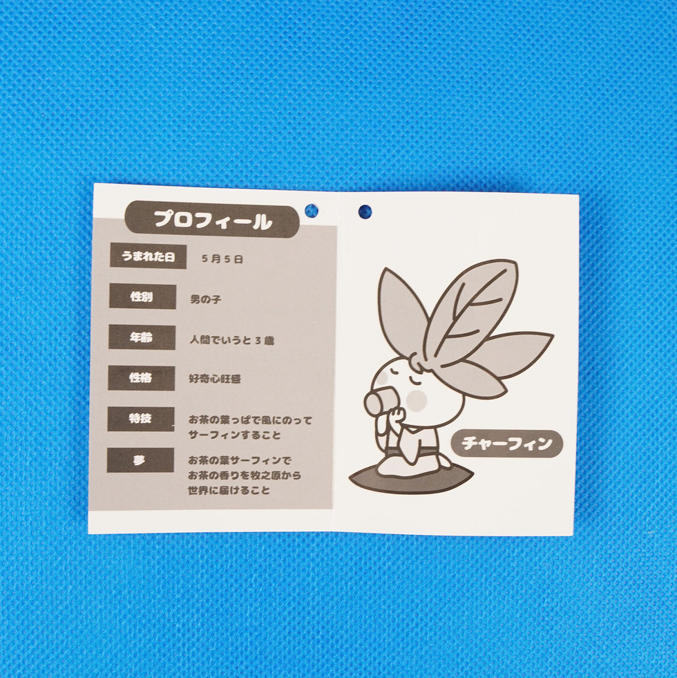 チャーフィン 20cmぬいぐるみ　台紙　裏